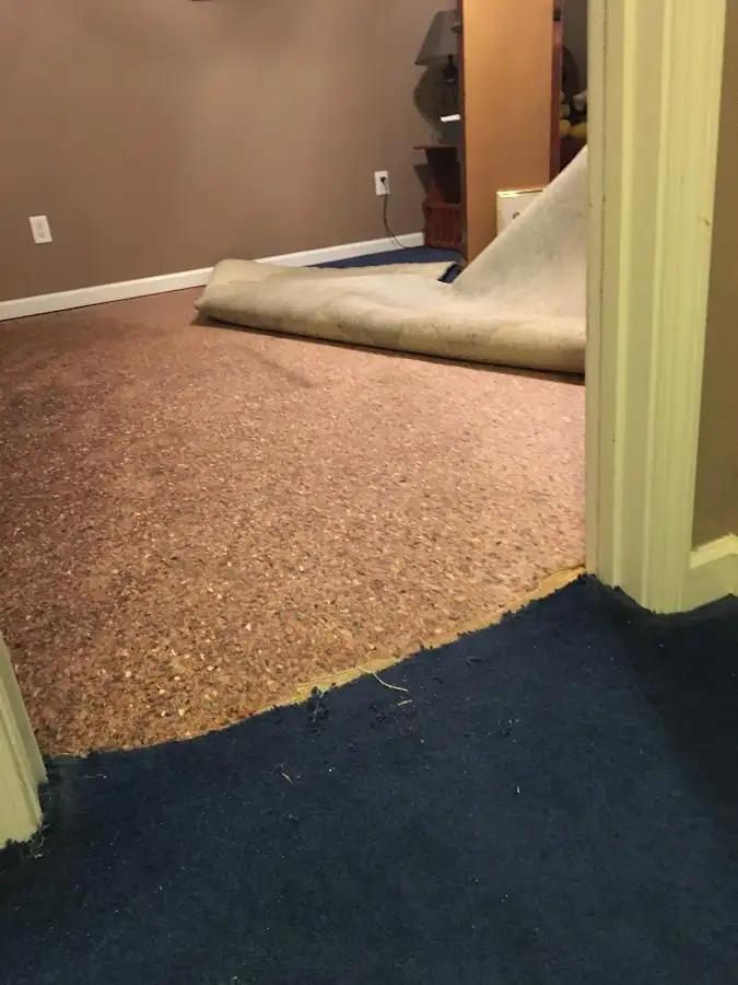 Carpet pad removal revealing water damage during Drying & Dehumidification in Obetz