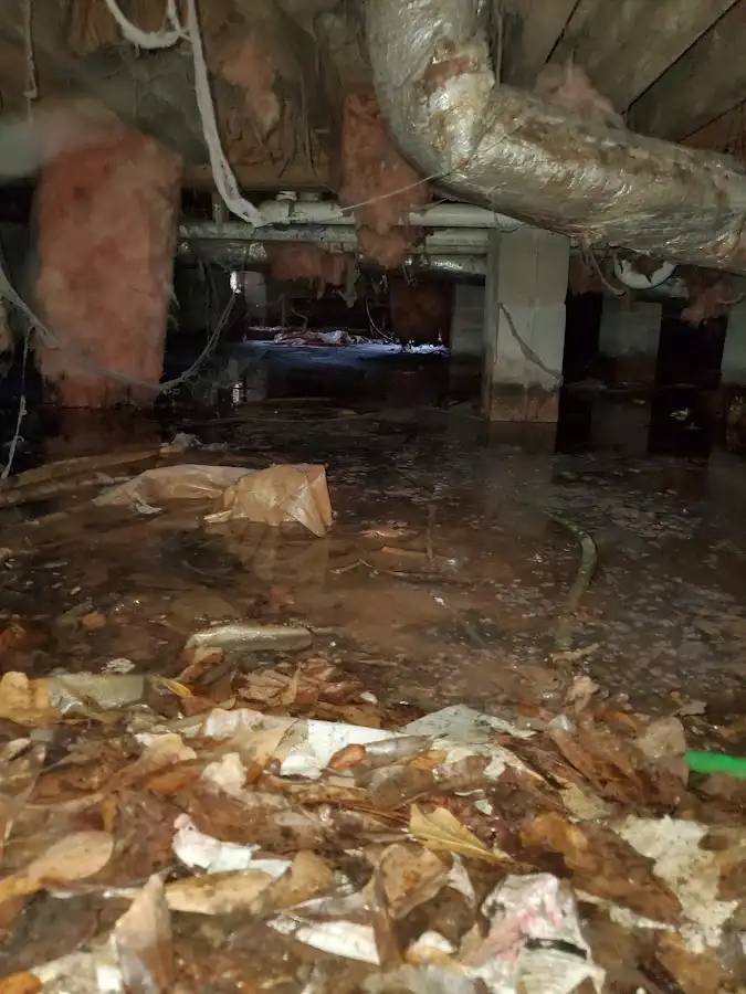 Crawl space flood assessment for Leak Detection & Repair in Obetz